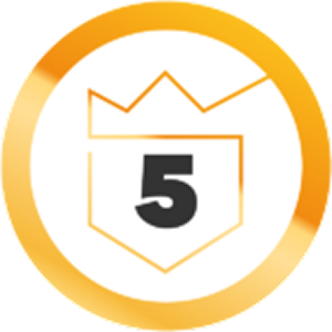 Creditinfo märk 5 aastat ettevõte